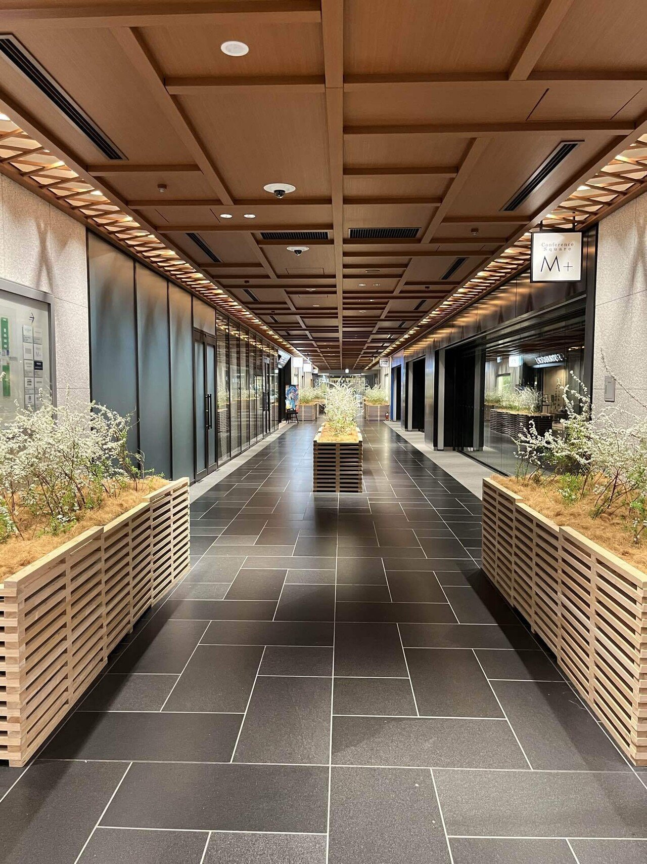 自己紹介】人生が一度崩れた私が「0から整え直したかった」理由｜まゆ