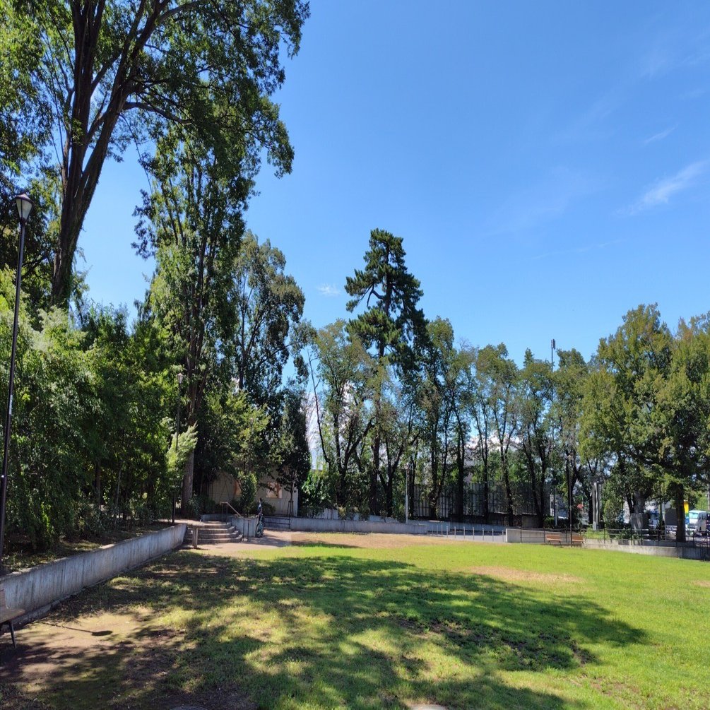 カイロプラクティックとオステオパシーの違いとは？｜泉山耕一郎