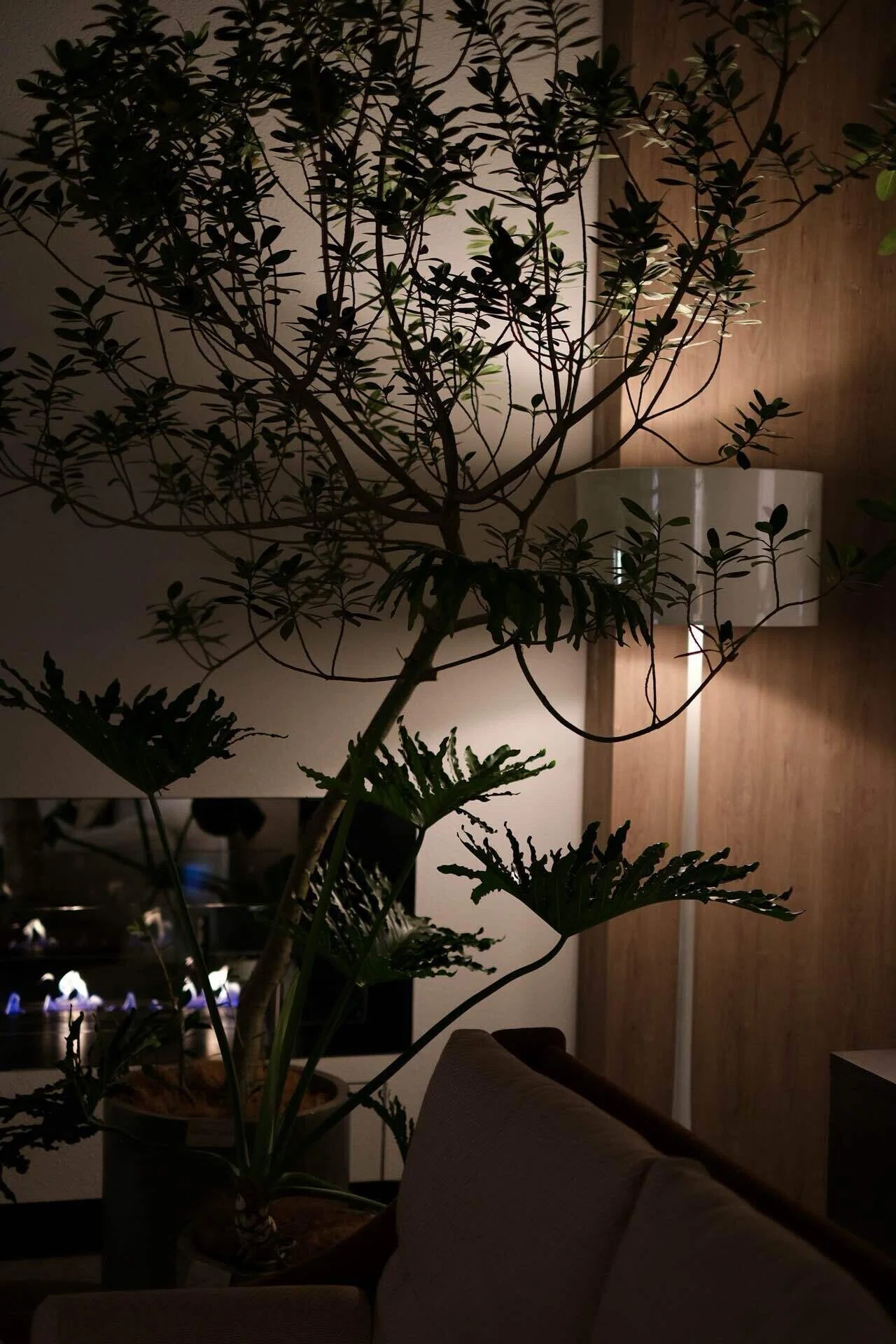 arflex東京から学ぶ照明と観葉植物の効果的な置き方｜madoka_interior