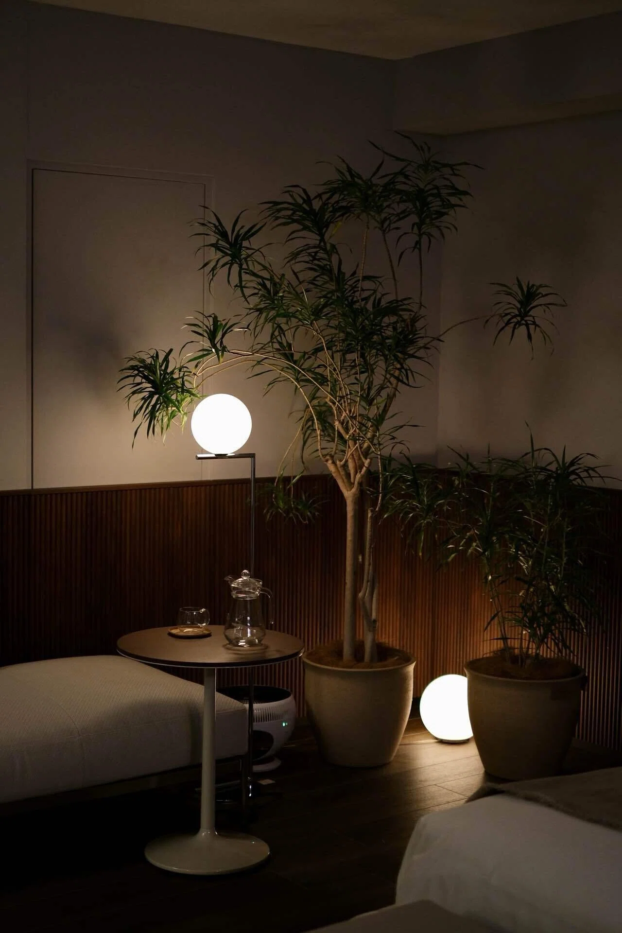 arflex東京から学ぶ照明と観葉植物の効果的な置き方｜madoka_interior