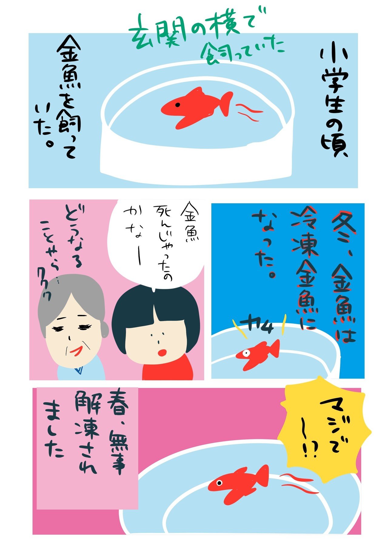 冷凍金魚 解凍金魚 じゅんこ3 Junkosan Note