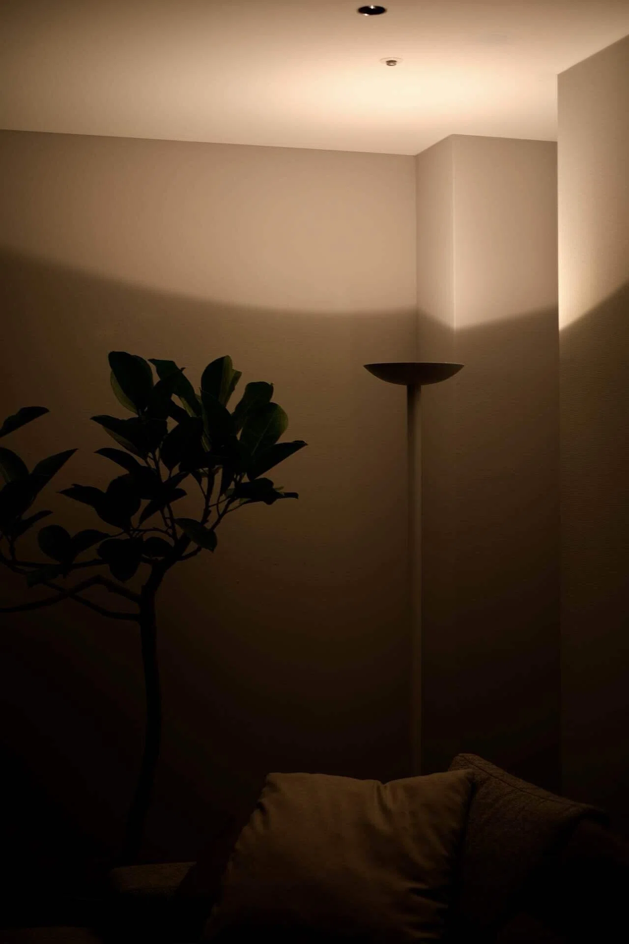arflex東京から学ぶ照明と観葉植物の効果的な置き方｜madoka_interior