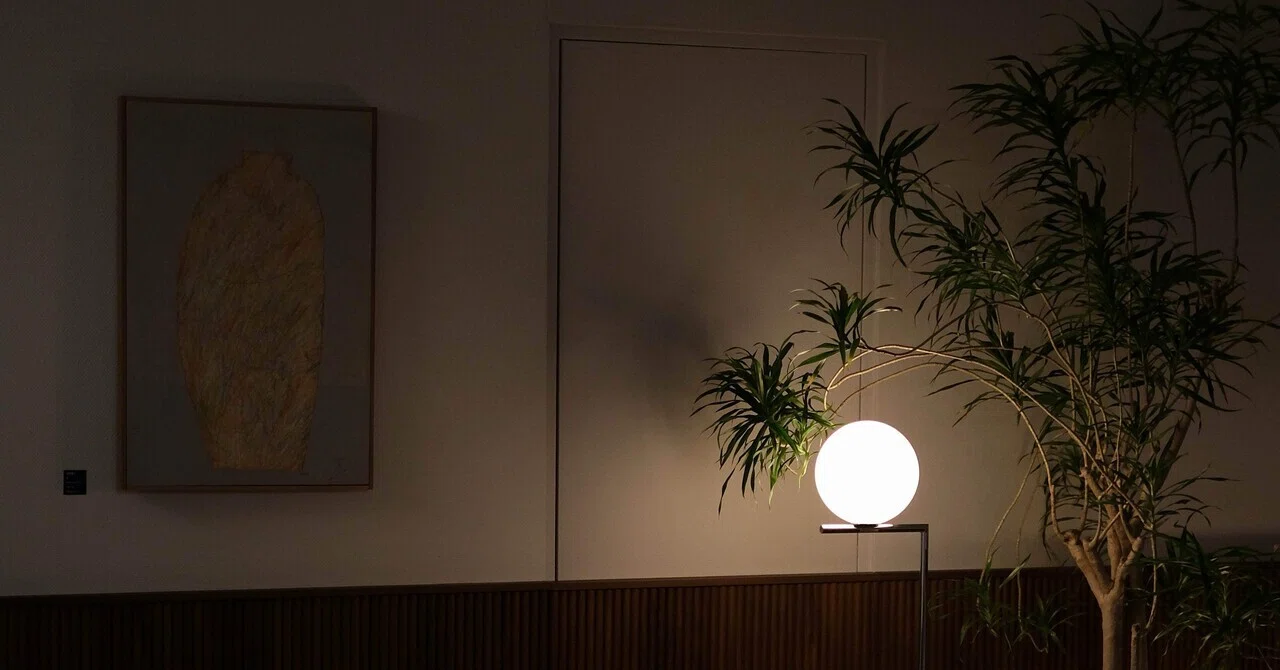 arflex東京から学ぶ照明と観葉植物の効果的な置き方｜madoka_interior