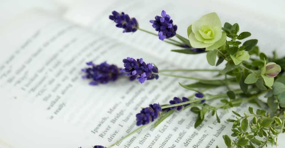 武田鉄矢を救ったユングの言葉 年間のうつ状態 老いへの恐怖 C子 Note