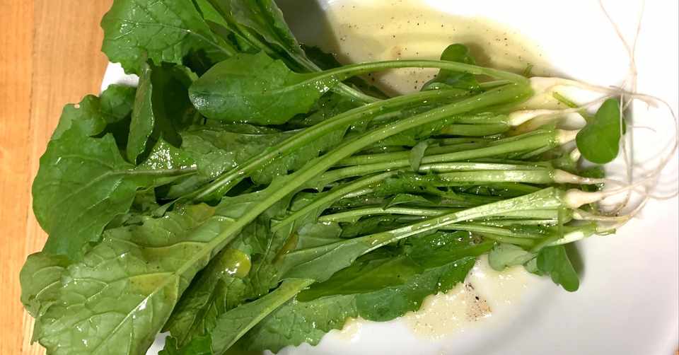 かぶの間引き菜のサラダ ごっこ食堂 ナオフク ごっこ食堂店主 Note