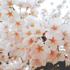 音メモ 61 - the lost spring -