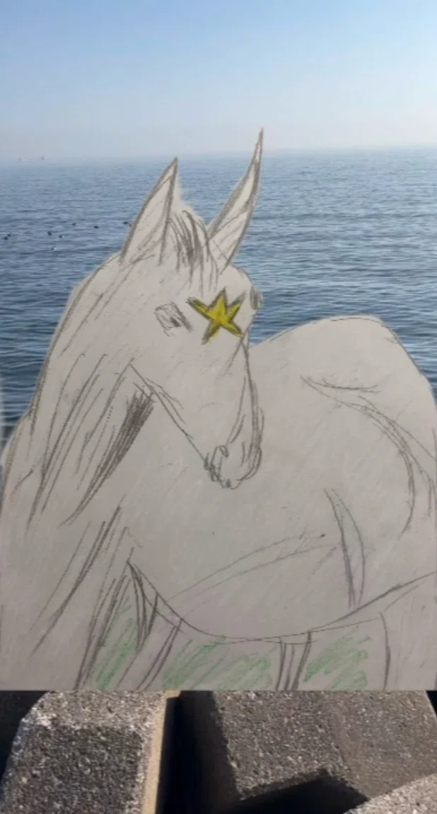 画像