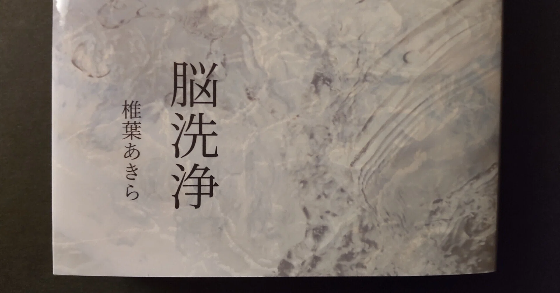 21世紀版『溶ける魚』】椎葉あきら：ZINE『脳洗浄』の書評（或いは、讃 