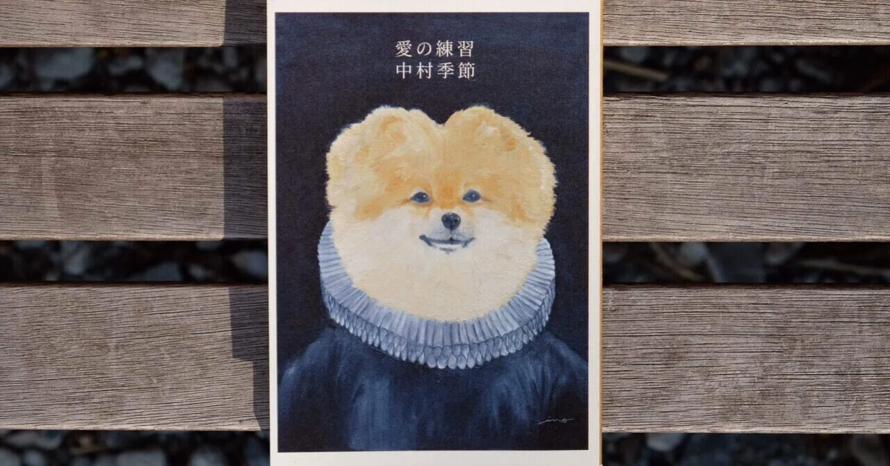 初めてのZINE 【愛の練習 中村季節】を読んで｜snowfeather