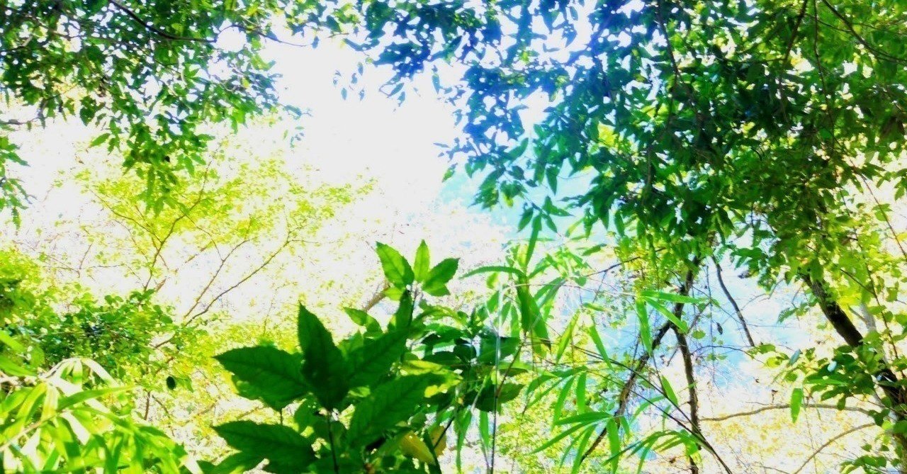 なかなか物を捨てられない人の心理とは コツを掴んだらポイポイ捨てられる 渕上瑞樹 Note なかなか物を捨てられない人の心理とは コツを掴んだらポイポイ捨てられる 渕上瑞樹 Note
