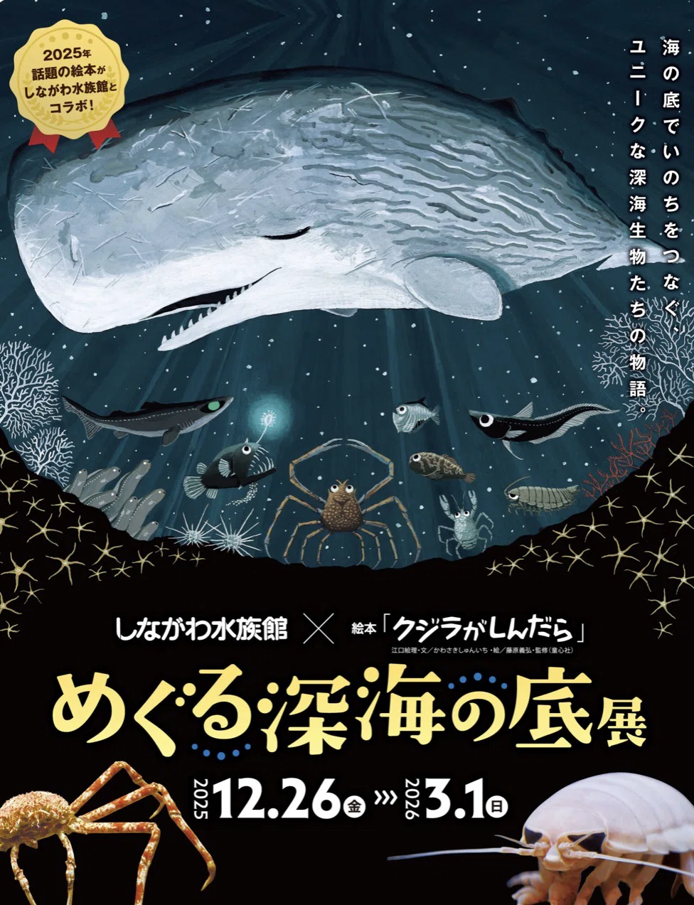 4歳2歳】しながわ水族館｜syokko