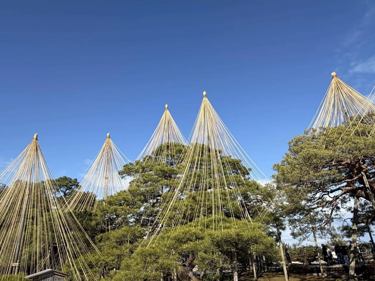 金沢旅行二日目 兼六園行ってきた〜！｜宮津 由良