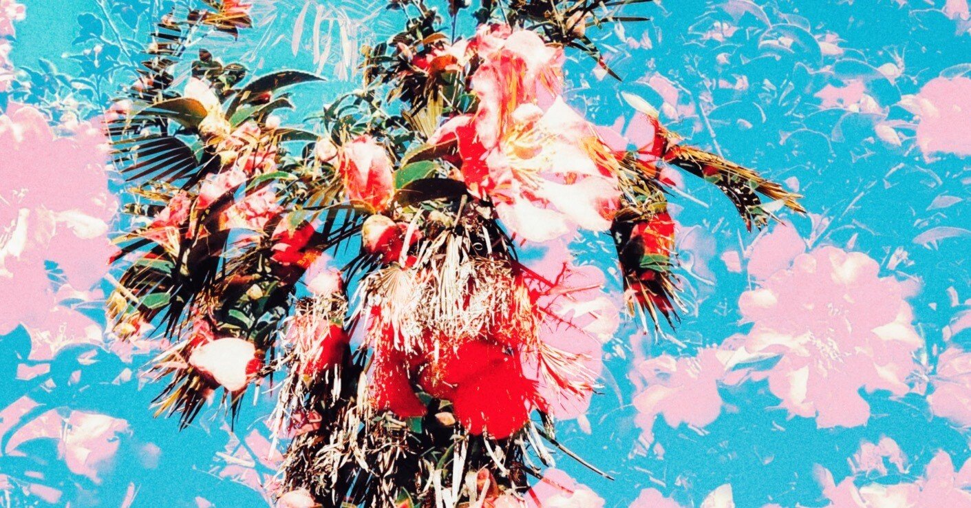 GRAPHICS 02｜Toshick