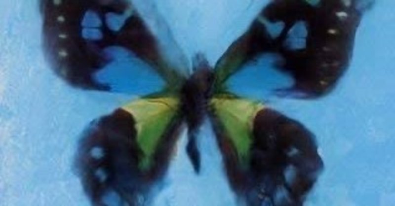 ヒラリヒラリと舞い遊ぶように姿見せたアゲハ蝶