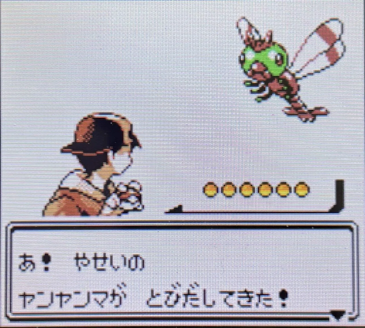 クリスタル】ポケットモンスタークリスタルを本気でプレイする｜教育