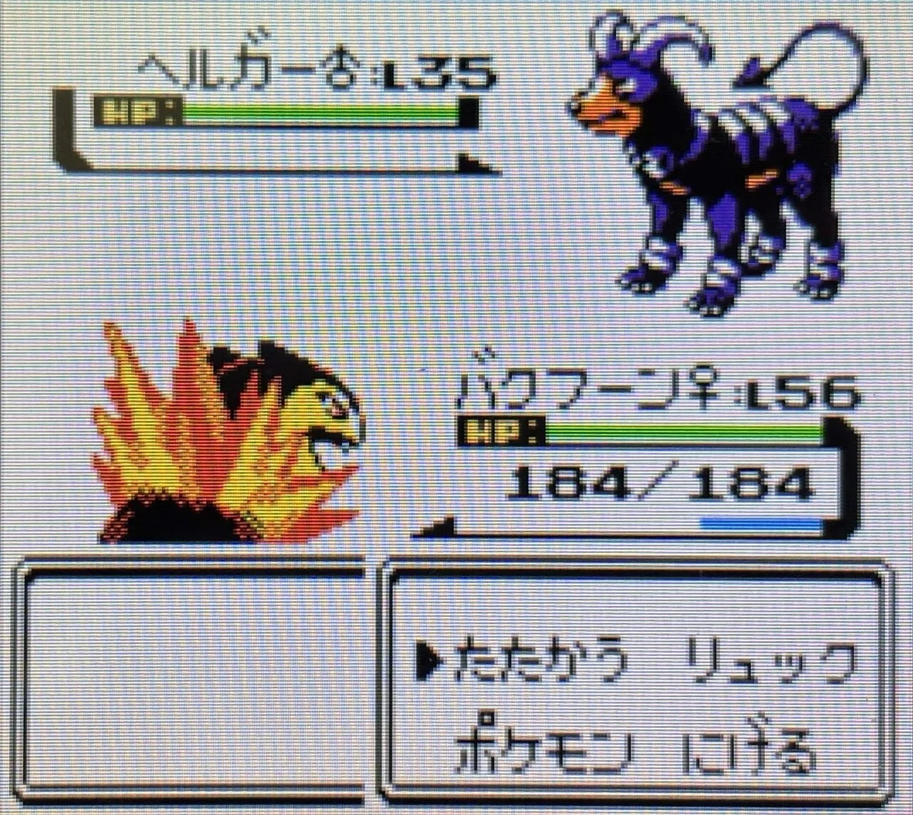 クリスタル】ポケットモンスタークリスタルを本気でプレイする｜教育