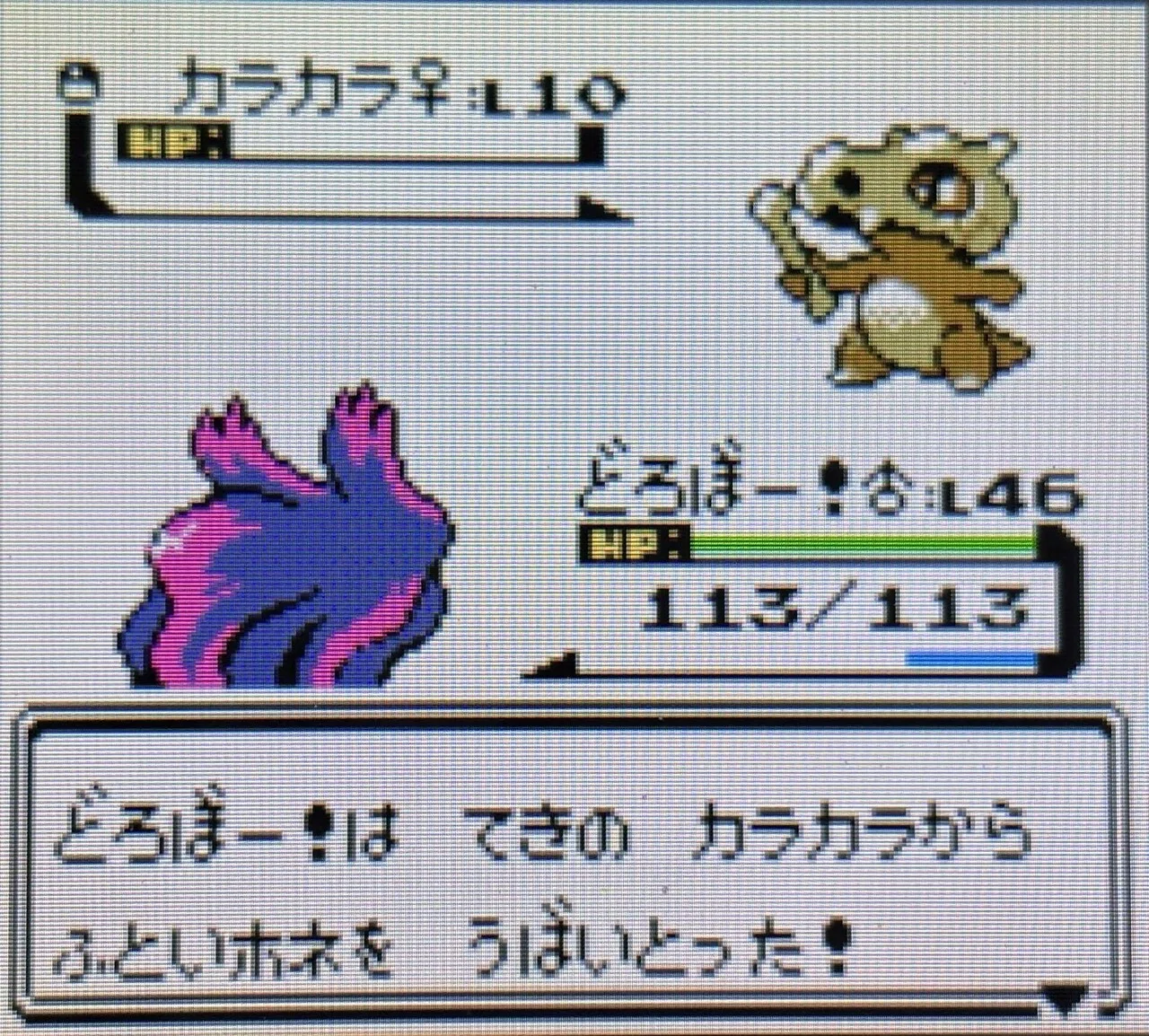 クリスタル】ポケットモンスタークリスタルを本気でプレイする｜教育