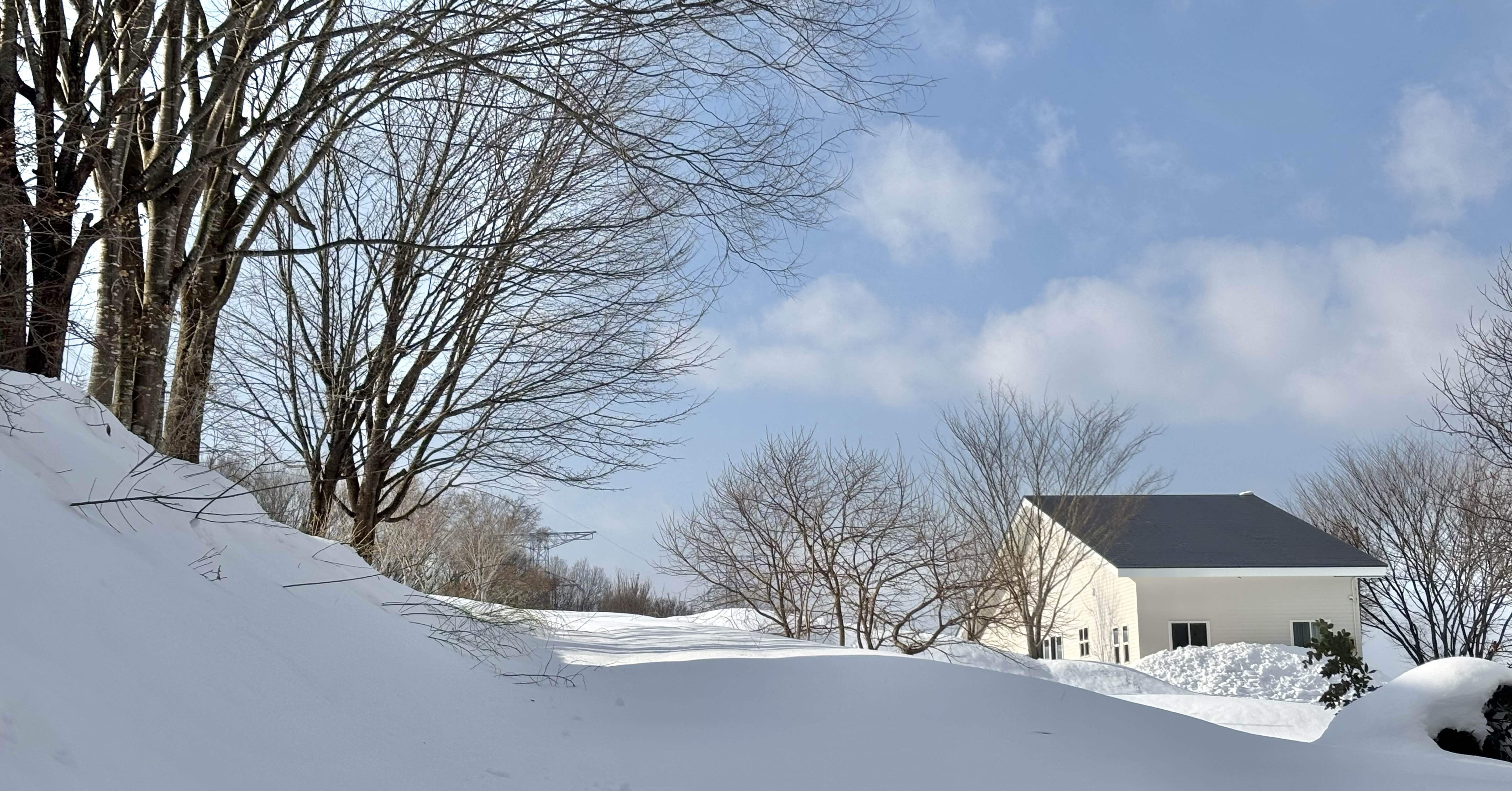 改めましての自己紹介 【40代、森の暮らし】｜キ ペ ッ ト🐿️／森の暮らし