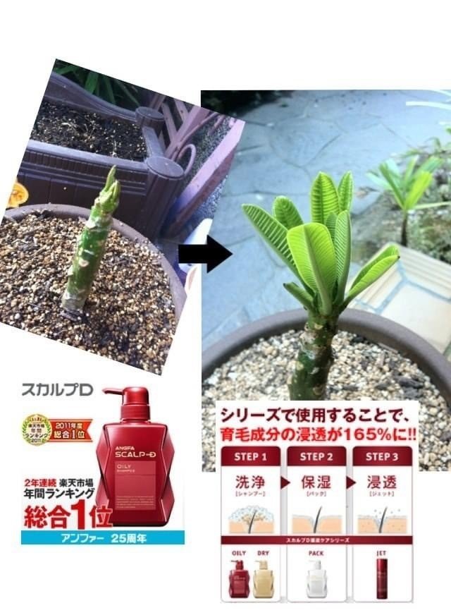 はじめまして Hoppie Note はじめまして Hoppie Note