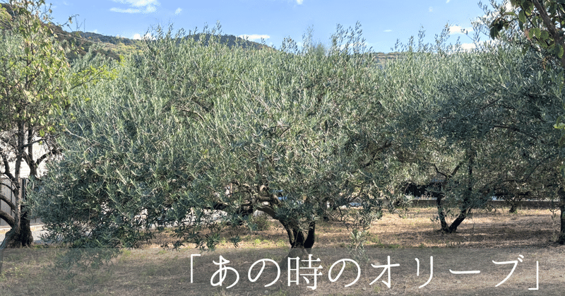 あの時のオリーブ