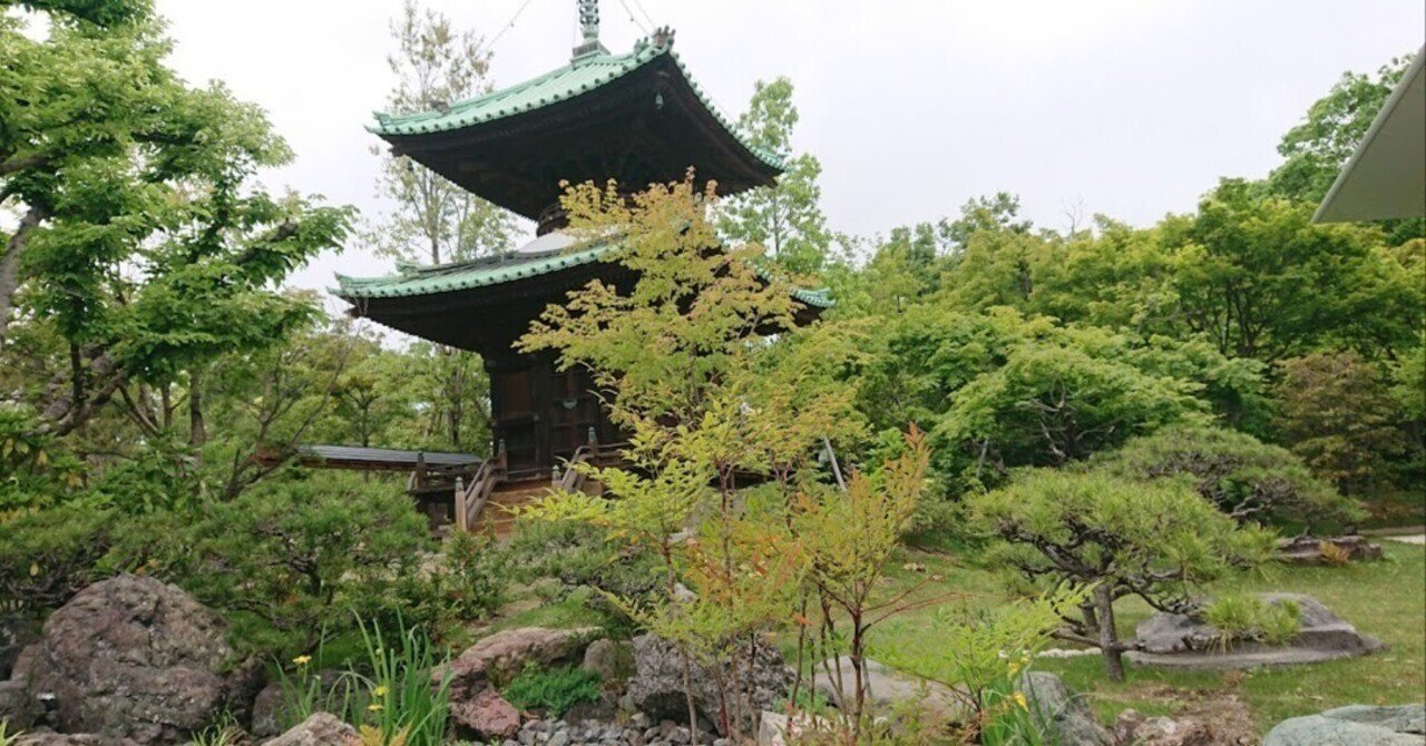 久々に藤田美術館へ 庭園に咲く山茶花が映える Visited the Fujita Art