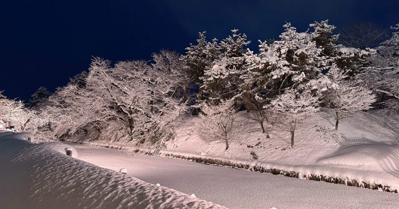 厳冬の桜を見に弘前へ⑤冬の桜｜ave_maris_stella
