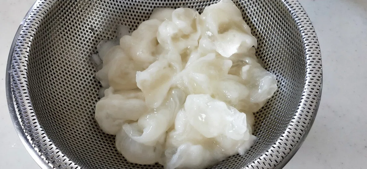 画像17