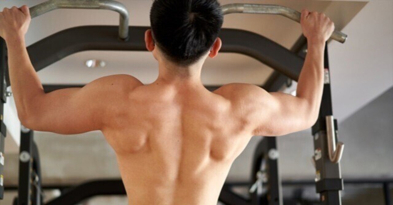 背中の筋トレ8種目と効果的な鍛え方｜枡隆太
