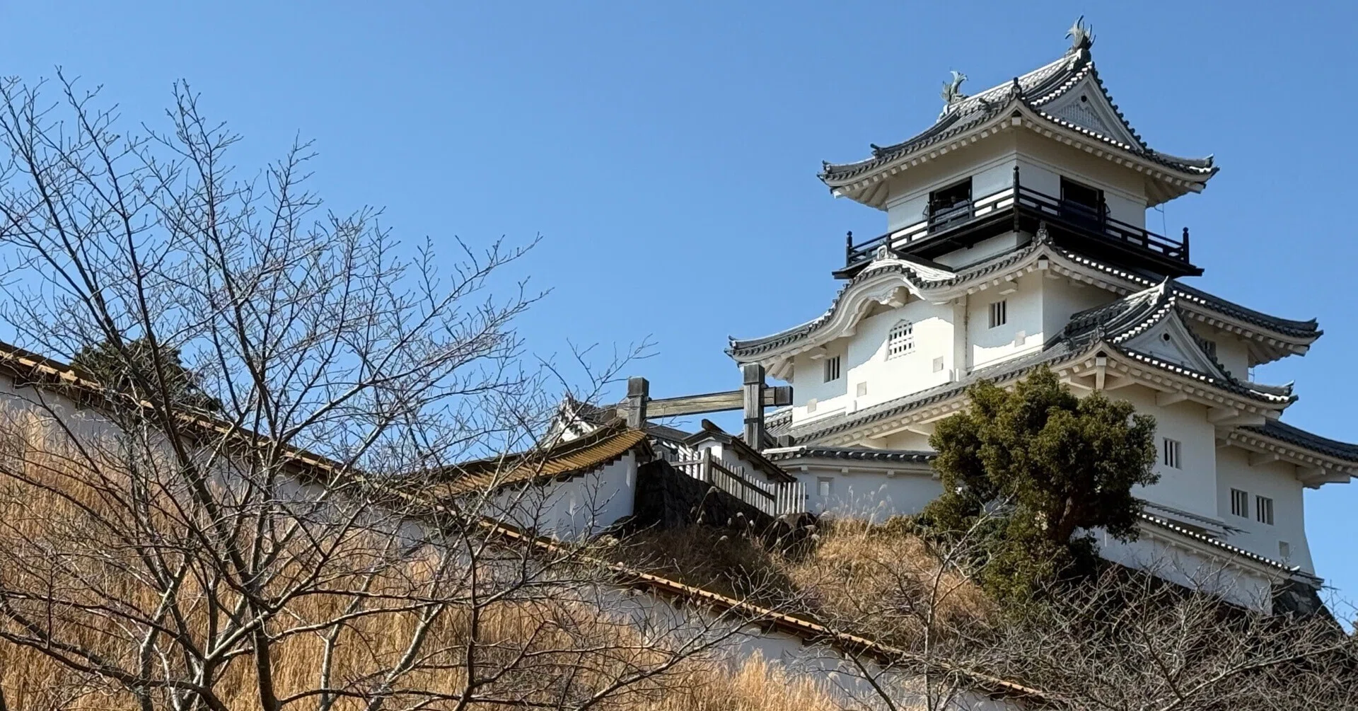 旅行記】掛川城・駿府城【日帰り】｜もふわ