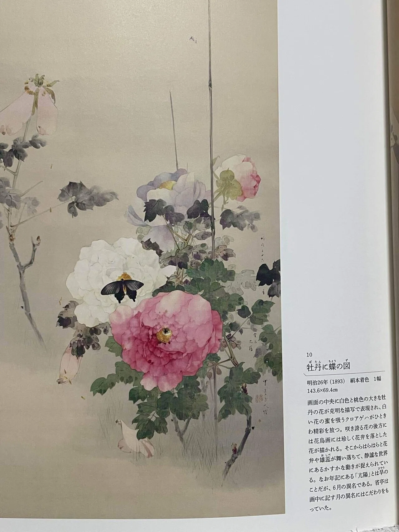 立てば芍薬、座れば牡丹、｜葡萄ゼリー