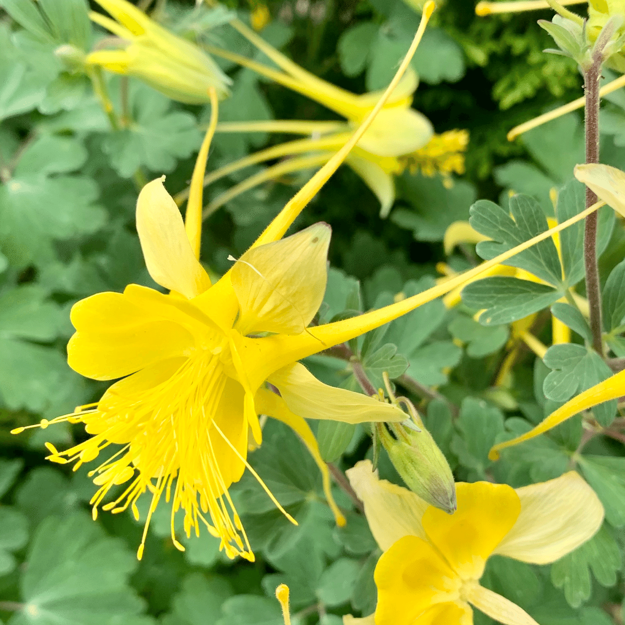 みいつけた Kiy3 Note