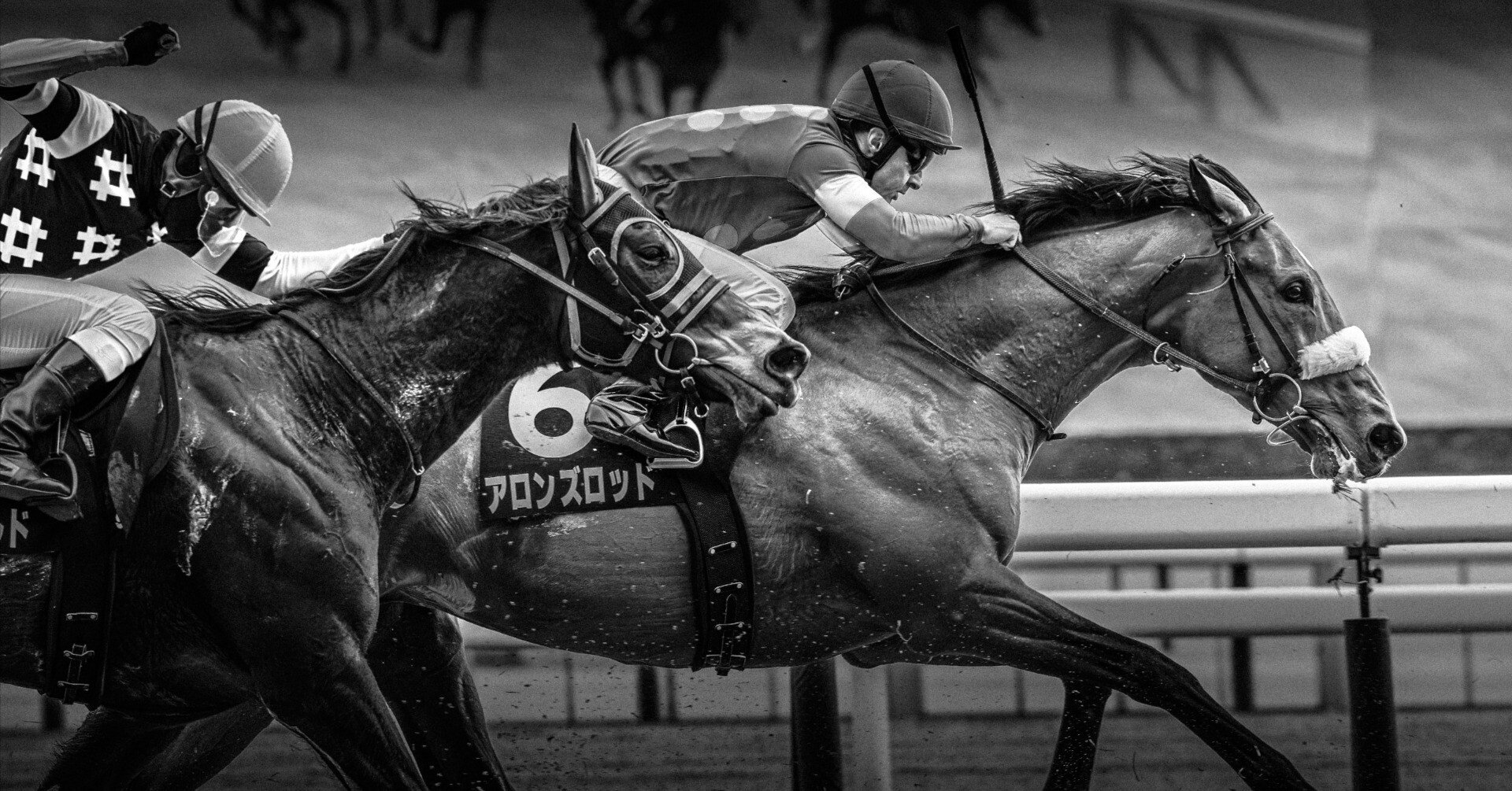 38 穏やかな日の競馬撮影｜NIKKOR Z 180-600mm f/5.6-6.3 VR