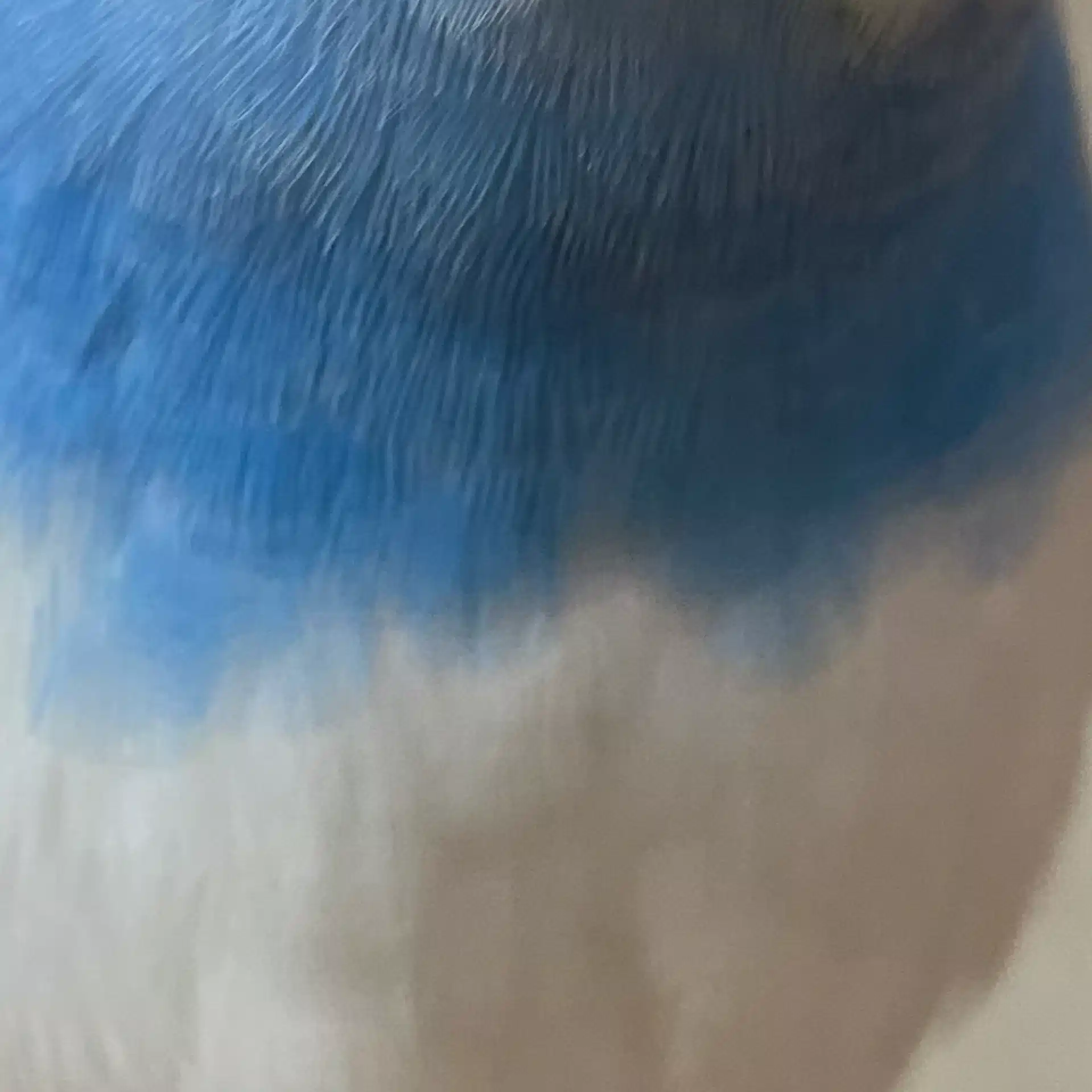 …Blue