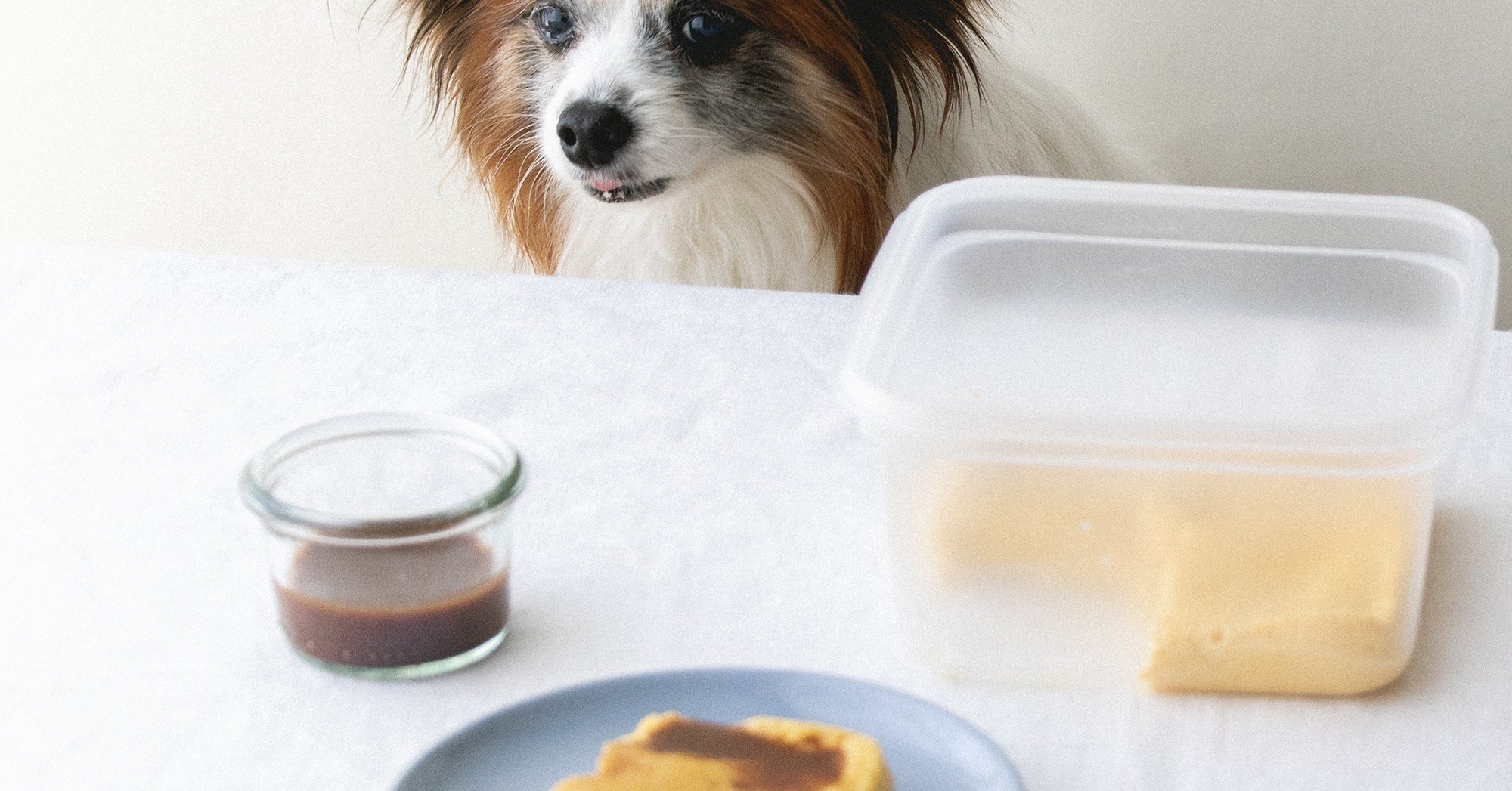 タッパー レンジ調理 3分で作れる たまごと豆乳のなめらかプリン 手作り犬おやつレシピ 単品購入 いちかわあやこ 犬ごはん先生 Note タッパー レンジ調理 3分で作れる たまごと豆乳のなめらかプリン 手作り犬おやつレシピ 単品購入 いちかわあやこ 犬ごはん先生 Note