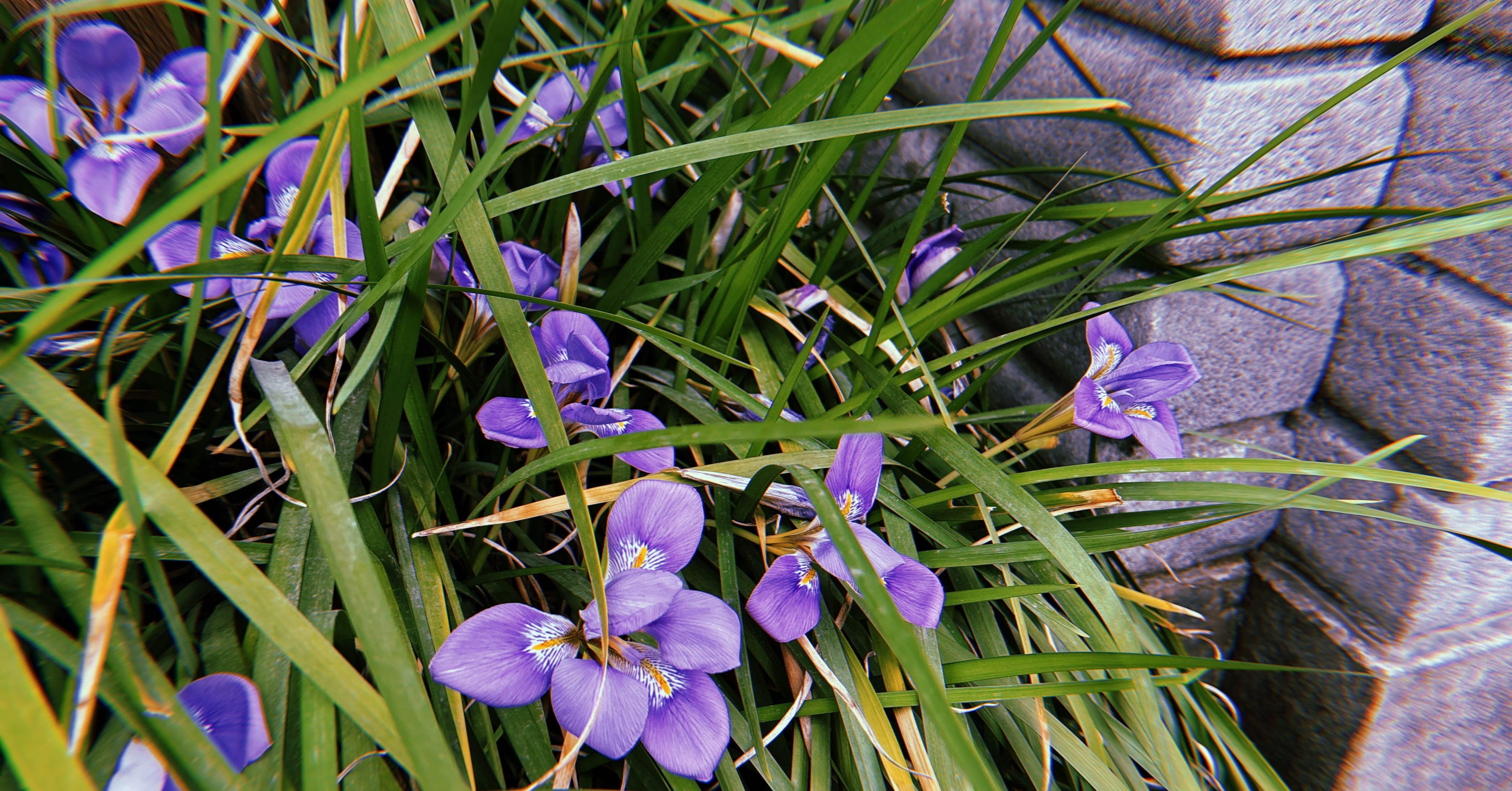 2026年2月16日(月)の日記｜あいせい