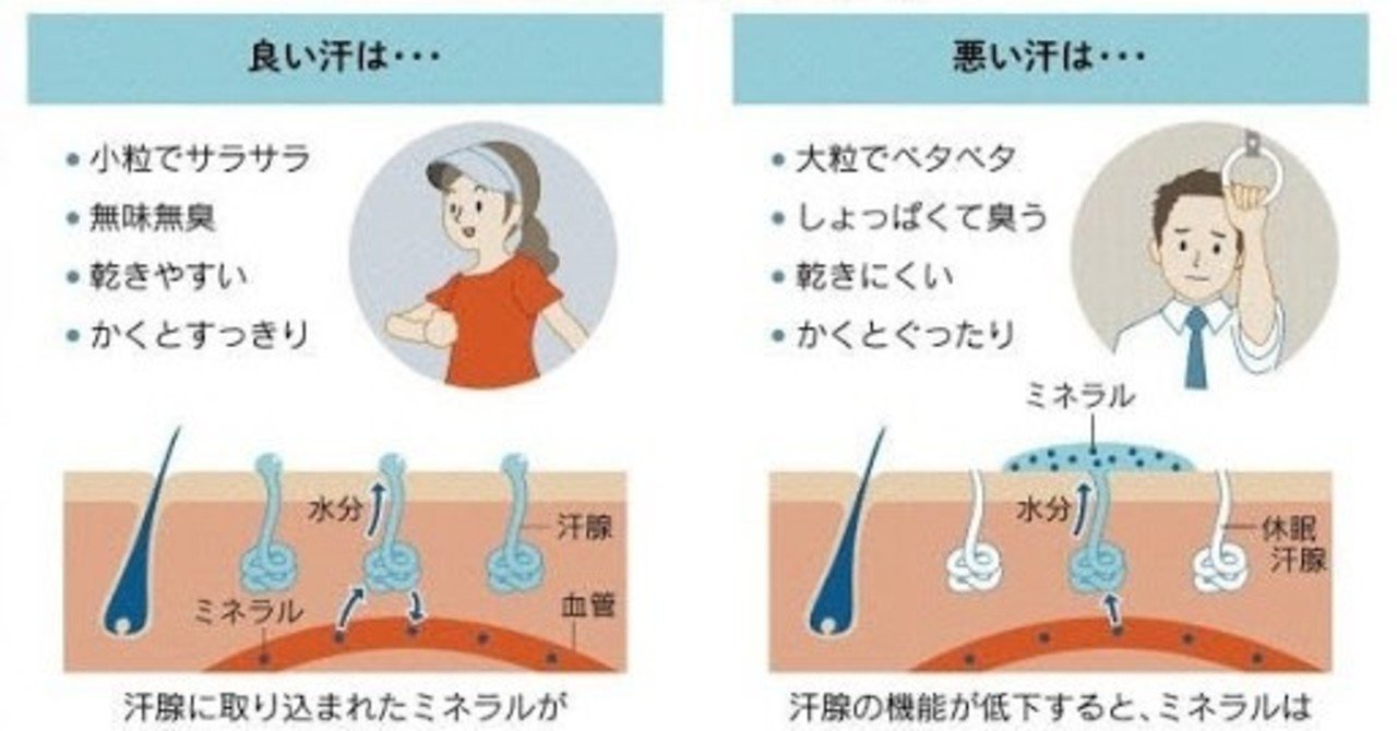 汗は 血液から作られている 良い汗 を かこう Miwah Note