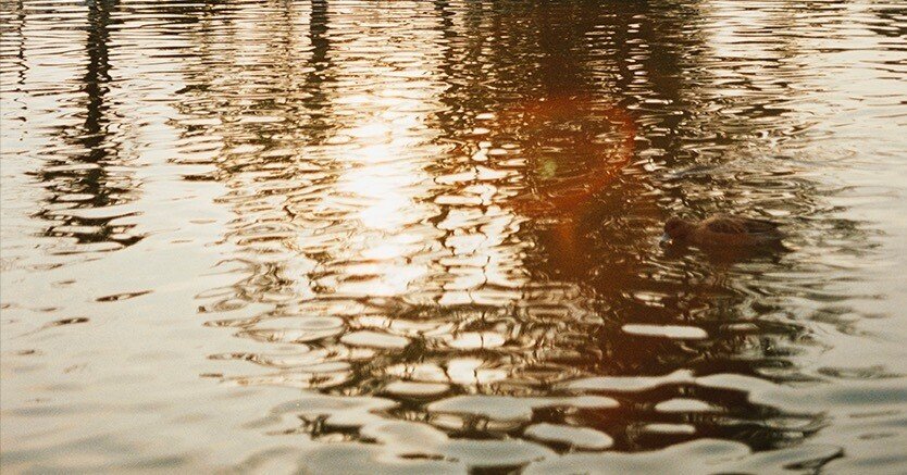 トプコン35Sの2ロール目で確信した。タイ遠征に持っていくたった1台の