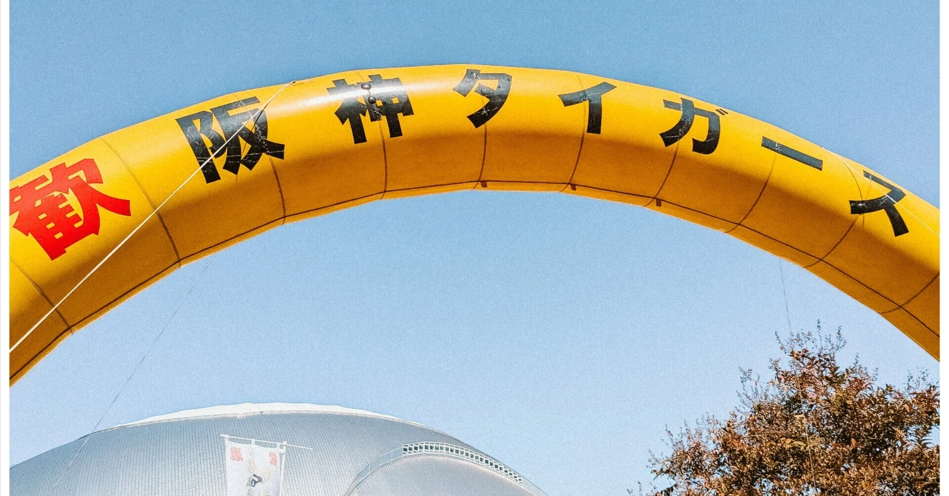 2026野球沖縄キャンプ｜阪神vs楽天の練習試合を見に行ってきました