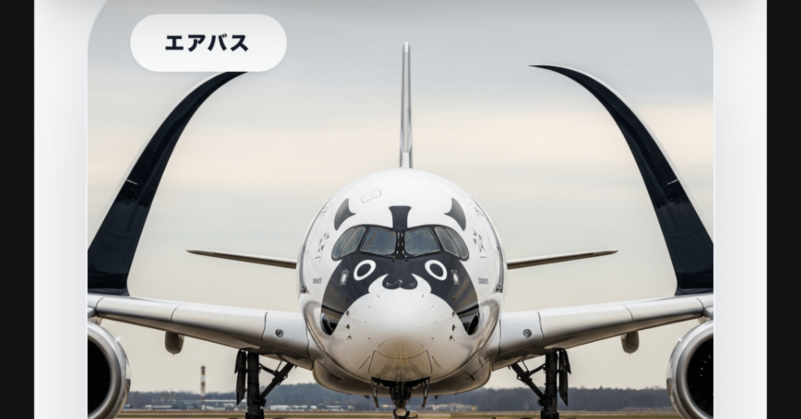 これは、787だ」などとつぶやきたい｜にんじん