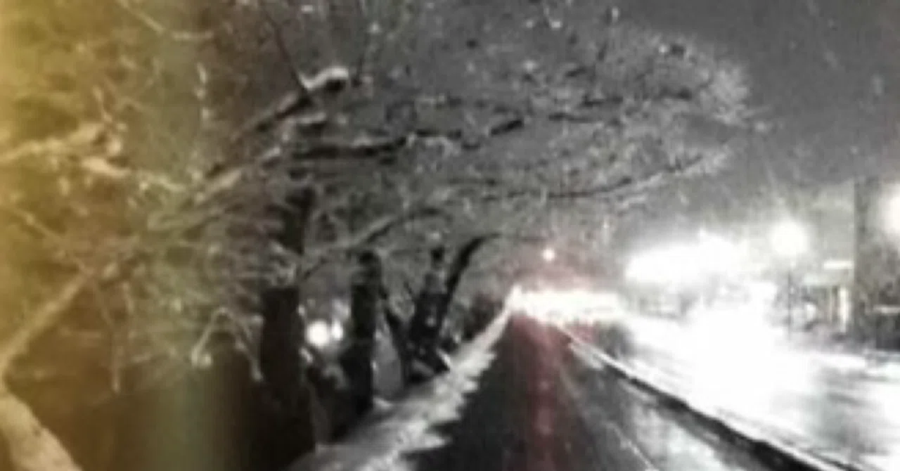 A No-Holds-Barred Snowball Fight Between a Couple in Their Late 30s ...