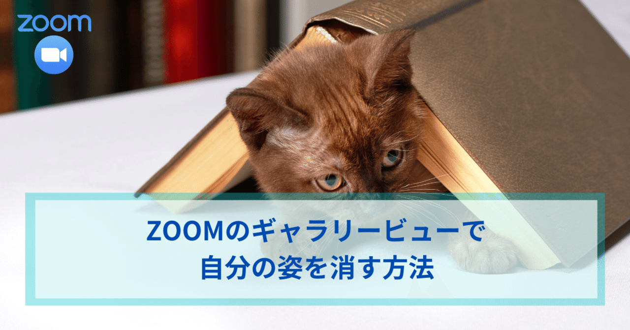 Zoomのギャラリービューで自分の姿を消す方法 人気オンライン講座の作り方 お悩み解決 ワタナベツヨシ Note Zoomのギャラリービューで自分の姿を消す方法 人気オンライン講座の作り方 お悩み解決 ワタナベツヨシ Note