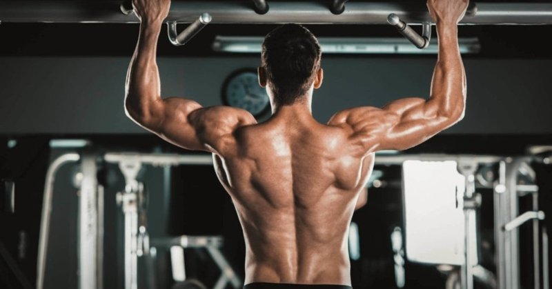 筋トレ初心者向け 部位分けの方法 渡邊拓也 パーソナルトレーナー Note