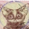 コシバ ユウ