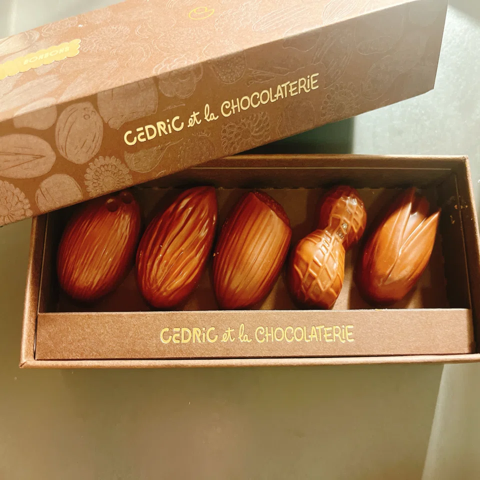 フランスで買ったチョコレートレビュー🍫｜フランスパン