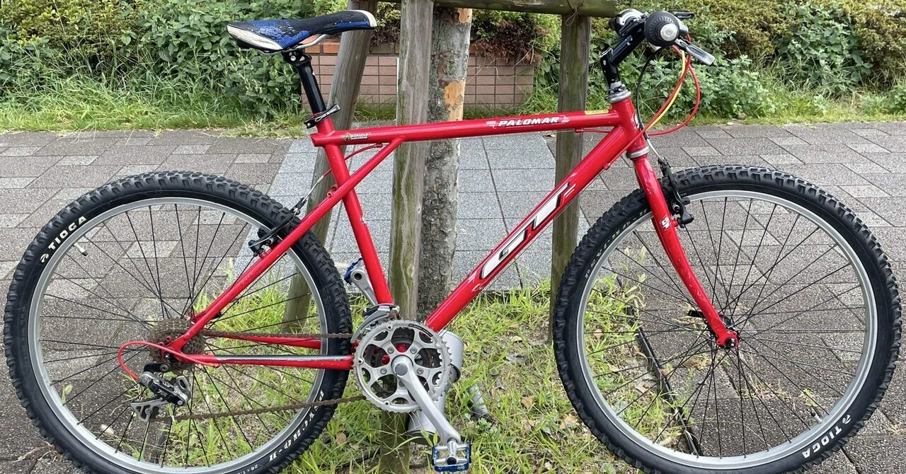 懐かしき自転車の思い出｜趣味human