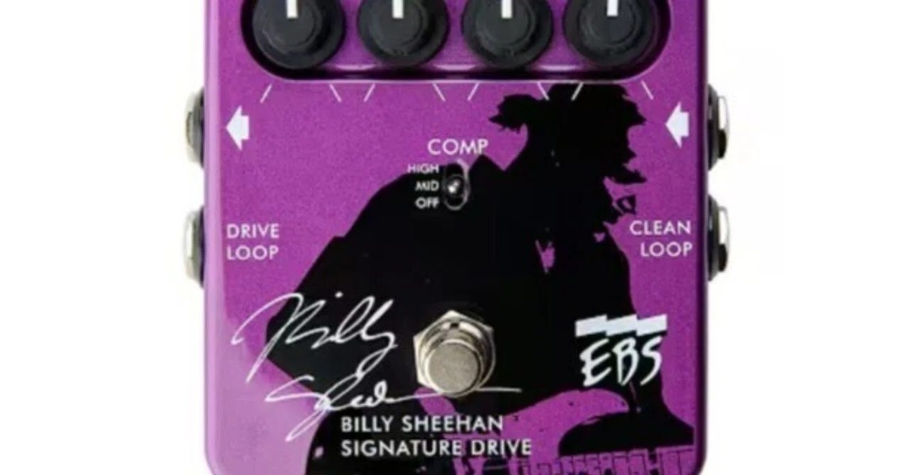 EBS Billy Sheehan Signature Drive｜Maggie