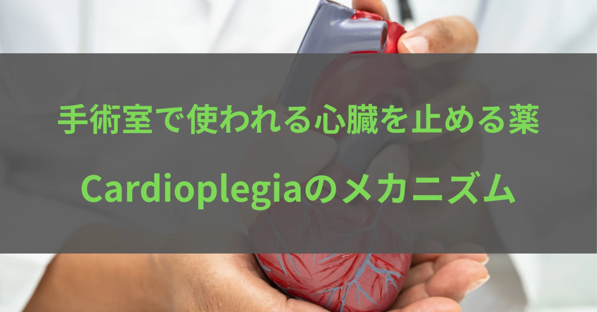 手術室で使われる心臓を止める薬Cardioplegiaのメカニズム｜あね医