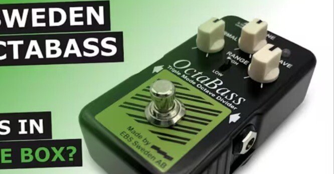 EBS OctaBass Blue Label｜Maggie