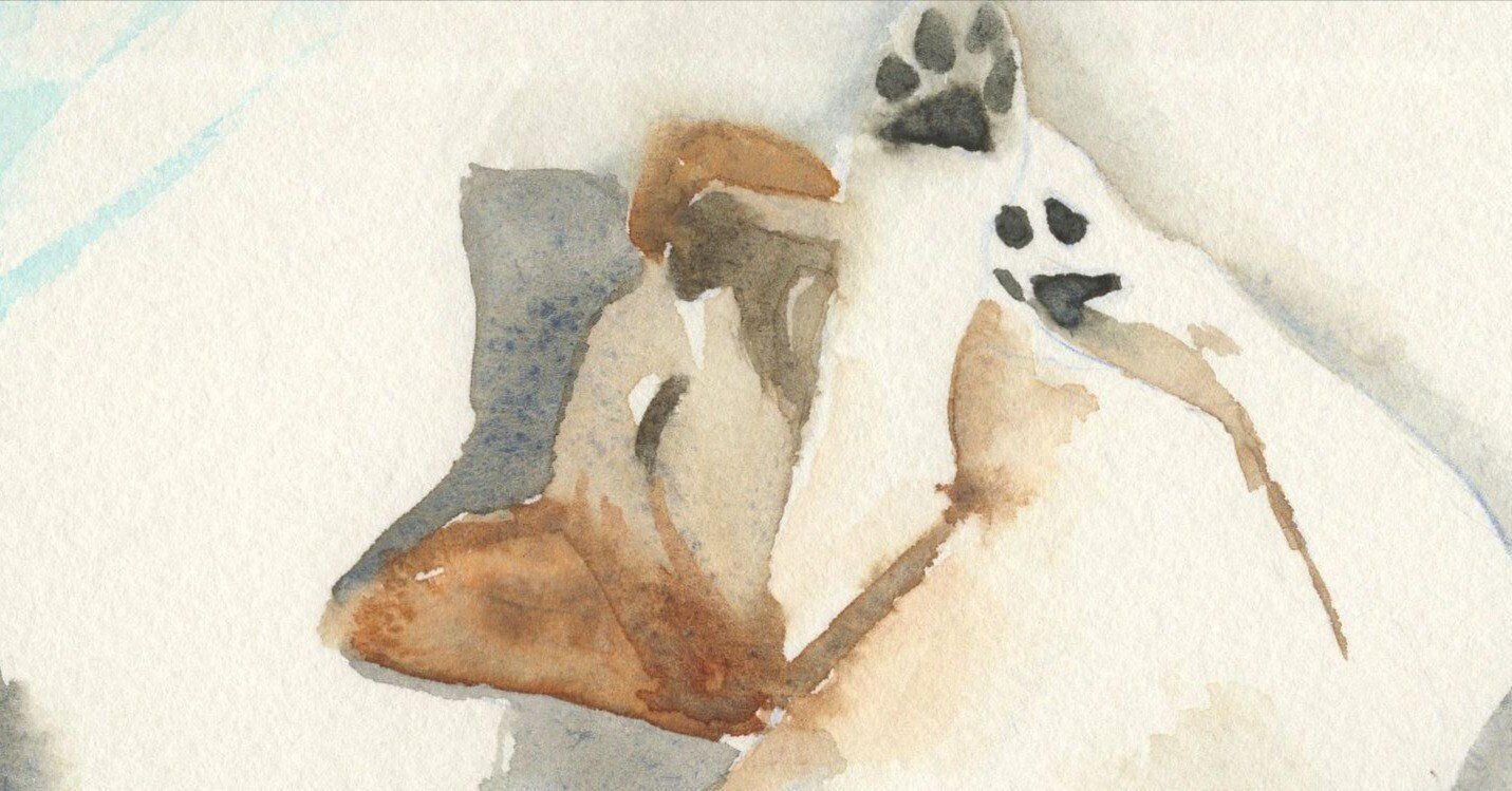 2020年の水彩画｜ちろ