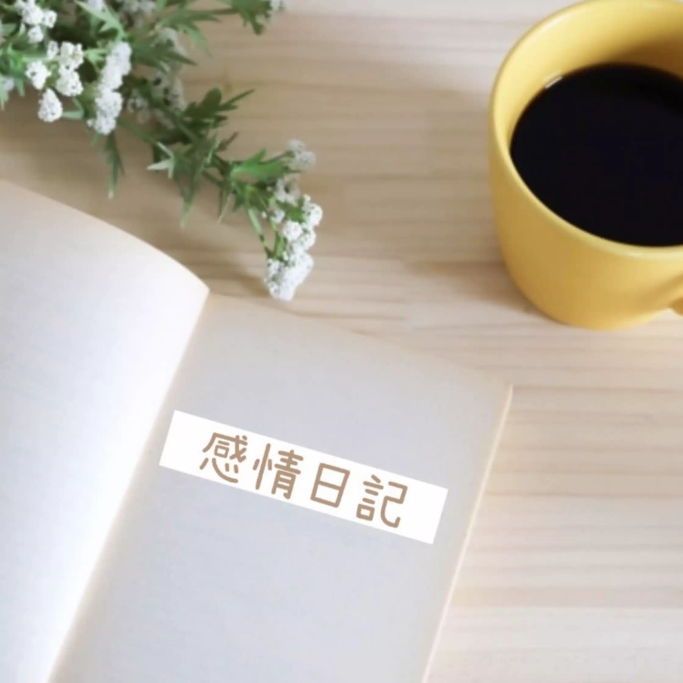 アラカン主婦おかんの感情日記